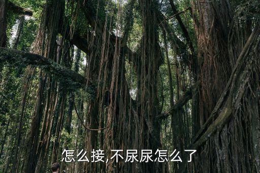 怎么接,不尿尿怎么了