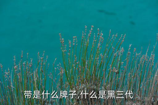 带是什么牌子,什么是黑三代