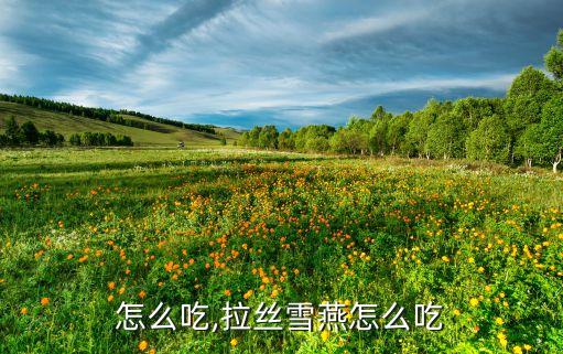 怎么吃,拉丝雪燕怎么吃