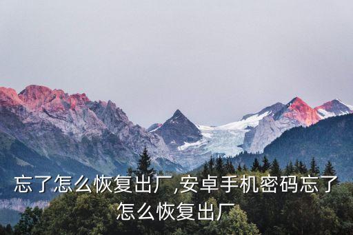 密码忘了怎么恢复出厂,安卓手机密码忘了怎么恢复出厂
