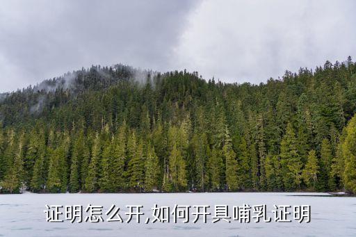 证明怎么开,如何开具哺乳证明