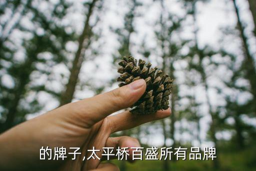 百盛的牌子,太平桥百盛所有品牌