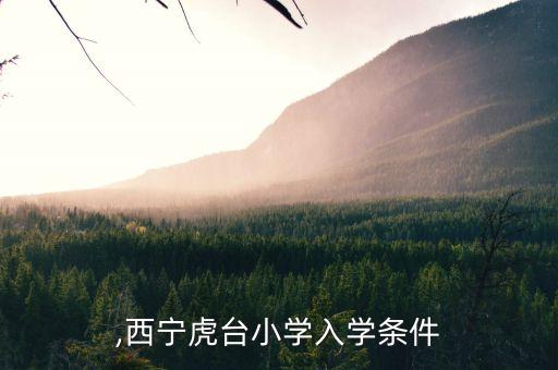 虎台,西宁虎台小学入学条件
