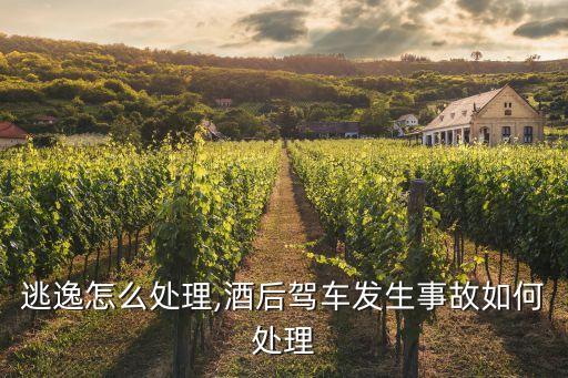 逃逸怎么处理,酒后驾车发生事故如何处理