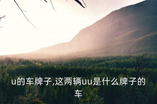 u的车牌子,这两辆uu是什么牌子的车