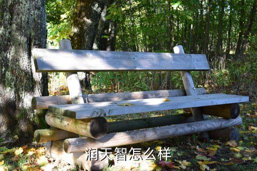 深圳润天智怎么样