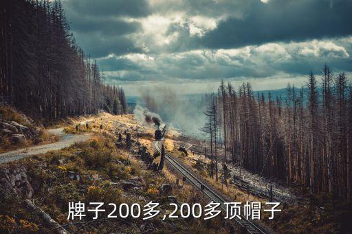 帽子牌子200多,200多顶帽子