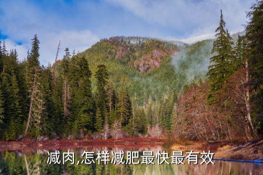 怎么减肉,怎样减肥最快最有效?