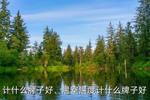 计什么牌子好、温室温度计什么牌子好