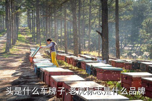 老虎头是什么车牌子,老虎标志是什么品牌?