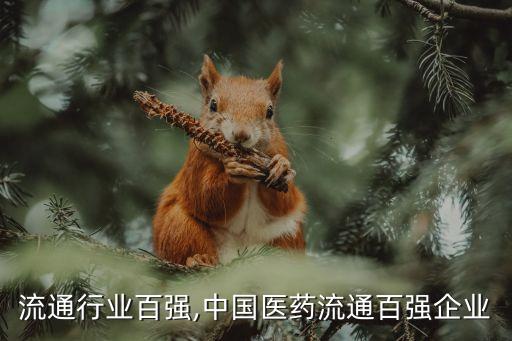 流通行业百强,中国医药流通百强企业