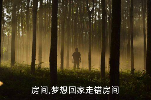房间,梦想回家走错房间