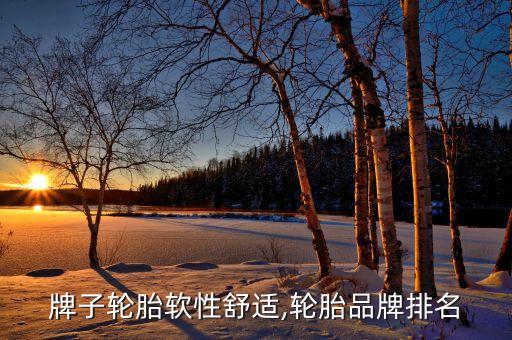 什么牌子轮胎软性舒适,轮胎品牌排名