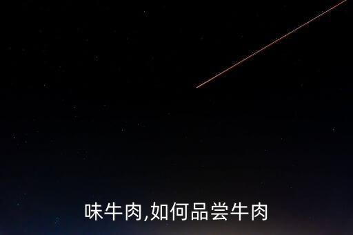 怎么味牛肉,如何品尝牛肉