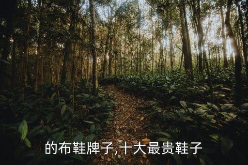 的布鞋牌子,十大最贵鞋子