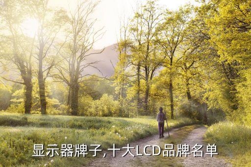 显示器牌子,十大LCD品牌名单