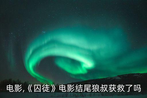 狼叔电影,《囚徒》电影结尾狼叔获救了吗?