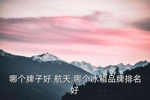 冰箱哪个牌子好 航天,哪个冰箱品牌排名好?