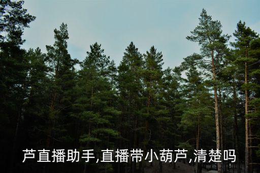 芦直播助手,直播带小葫芦,清楚吗