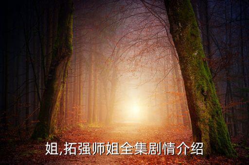 二妹姐,拓强师姐全集剧情介绍