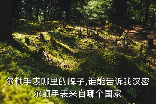 汉密尔顿手表哪里的牌子,谁能告诉我汉密尔顿手表来自哪个国家?