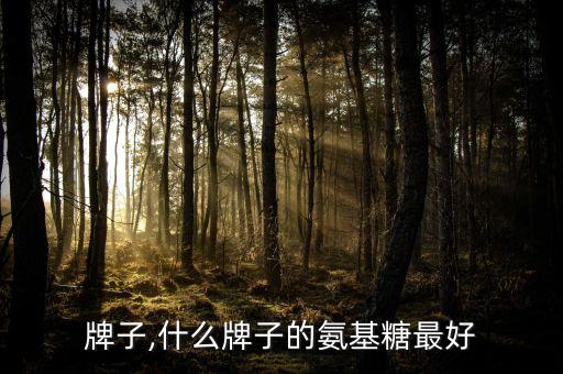 氨糖牌子,什么牌子的氨基糖最好?