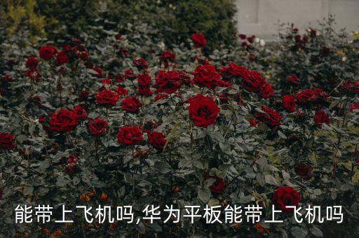 能带上飞机吗,华为平板能带上飞机吗