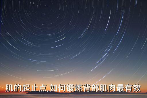 肌的起止点,如何锻炼背部肌肉最有效