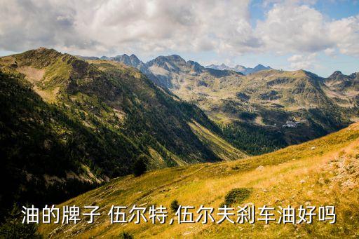 油的牌子 伍尔特,伍尔夫刹车油好吗