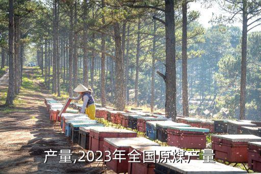 产量,2023年全国原煤产量
