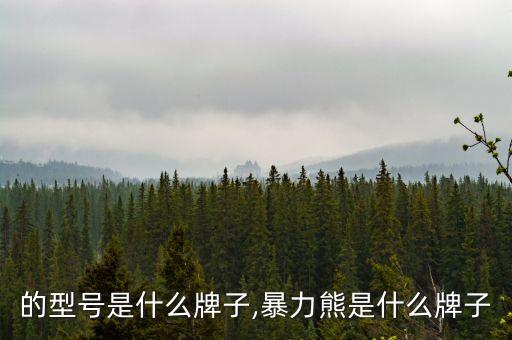 的型号是什么牌子,暴力熊是什么牌子
