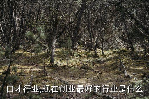 口才行业,现在创业最好的行业是什么