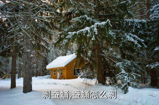 怎么剥蚕蛹,蚕蛹怎么剥?