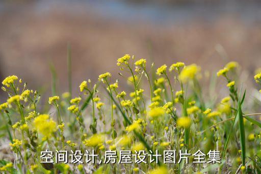 空间设计,房屋设计图片全集