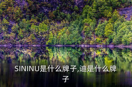 DISININU是什么牌子,迪是什么牌子?