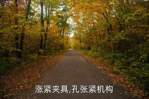 涨紧夹具,孔张紧机构