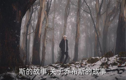 斯的故事,关于乔布斯的故事