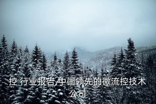 控 行业报告,中国领先的微流控技术公司