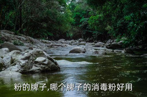 粉的牌子,哪个牌子的消毒粉好用