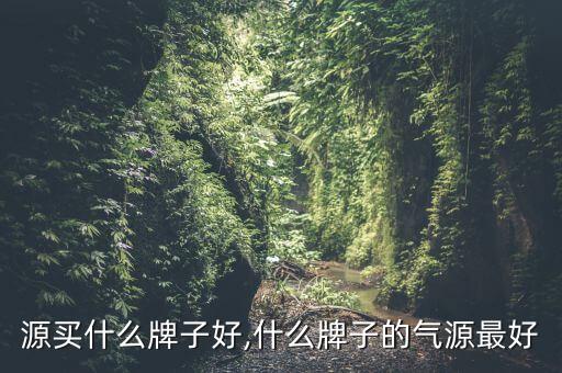 空气源买什么牌子好,什么牌子的气源最好?
