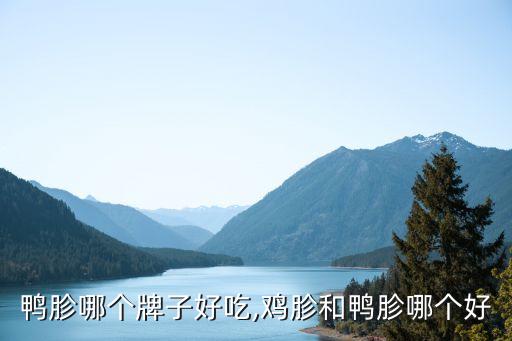 上海鸭胗哪个牌子好吃,鸡胗和鸭胗哪个好?