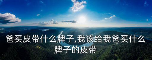 给爸爸买皮带什么牌子,我该给我爸买什么牌子的皮带?