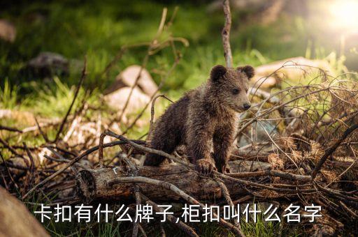 衣柜卡扣有什么牌子,柜扣叫什么名字?
