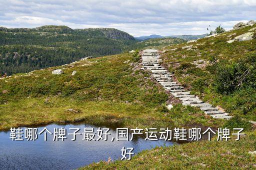 鞋哪个牌子最好,国产运动鞋哪个牌子好