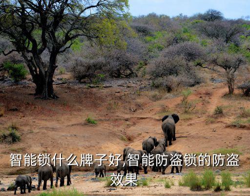 智能锁什么牌子好,智能防盗锁的防盗效果