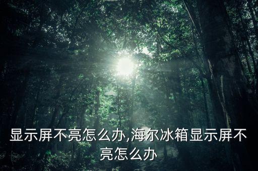 显示屏不亮怎么办,海尔冰箱显示屏不亮怎么办