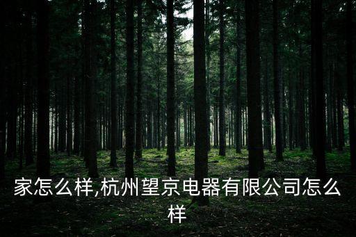 家怎么样,杭州望京电器有限公司怎么样
