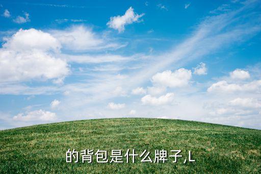 胡歌的背包是什么牌子,L