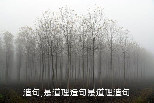 造句,是道理造句是道理造句