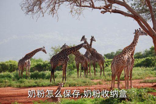 奶粉怎么保存,奶粉收纳盒